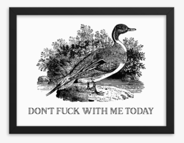 Don"t Fuck With Me Framed"  Srcset="data - Fuck, HD Png Download, Free Download